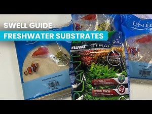 Complete Guide to Freshwater Aquarium Substrates: Gravel, Sand, and Soil 🌿