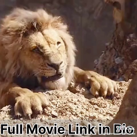 Silver Screen Chronicles on TikTok