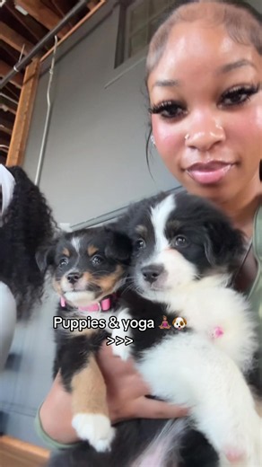 Puppies & Yoga: Cute Puppy Yoga Highlights