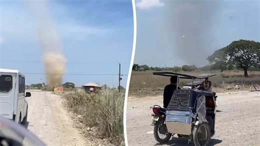 Raging dust devil tornado blocks road as shocked drivers watch