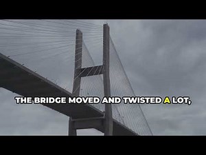 Best Project Management Case Studies 3 Success Stories & 2 Failures