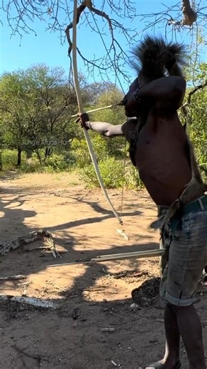 LEÕES CAÇANDO ZEBRA SELVAGEM NA SAVANA | शेरों का जेब्रा पर खतरनाक और घातक हमला
