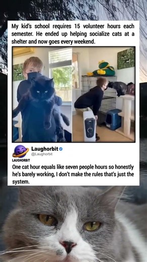 Volunteer Hours Hack | funny memes | relatable American memes | dank memes