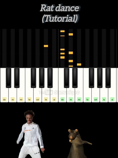 Rat Dance Tutorial: Learn Fun Moves with Your Pet