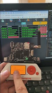 Bjorn the Cyberviking on the #flipperblackhat #flipperzero