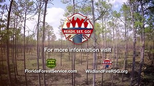 FL wildland firefighters are gearing up for higher wildfire activity from this point on until early summer. We are asking FL residents to prepare NOW to ensure that wildfire response near homes goes as smoothly as possible. #FLFire Cohesive Wildland Fire Management Strategy National Fire Protection Association (NFPA) U.S. Forest Service - National Forests in Florida Florida SERT Florida Fire Chiefs' Association Florida Sheriffs Association U.S. Forest Service National Association of State Forest