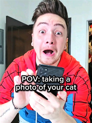 Why One Cat is Never Enough: A Comedic Take