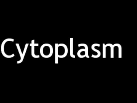How to Pronounce Cytoplasm