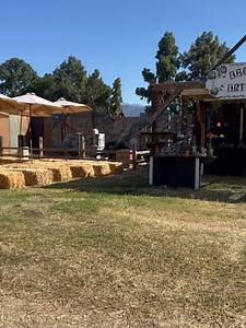 Roxy Rose Creations on Reels