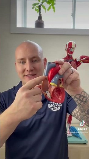 Quick Recap of Inotropy, Dromotropy, and Chronotropy #paramedic #paramedicstudent #emt #emtstudent