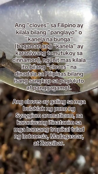 Understanding Cloves: Origin and Culinary Uses