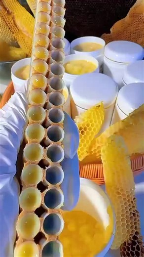 Learning to Love: Too Late for Her