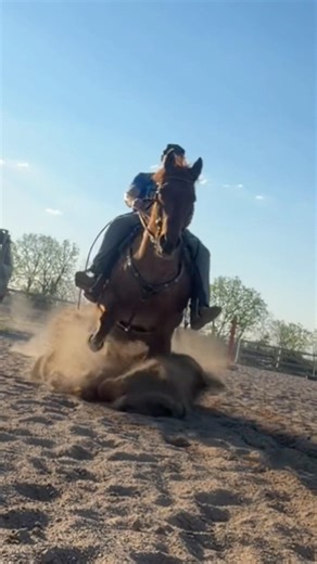 When the new sliders hit that dirt #reiners #slide #slidingstop #indianacowgirl #exca ​⁠