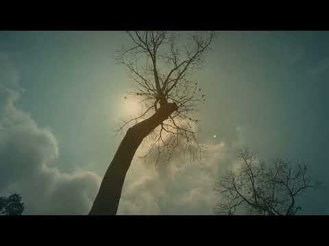 ANGKOR WAT — Where the Gods Dwell | A Cinematic Journey Through Cambodia's Sacred Temples (4K)