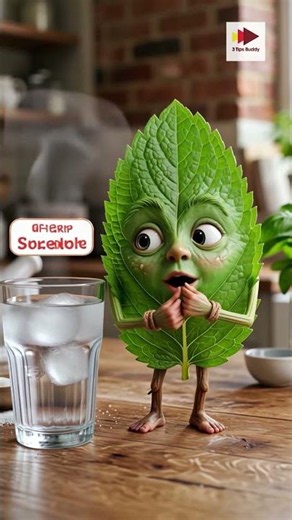 Best Tips of Using Mint #mint #cookingTips #herbs #kitchen #food #health
