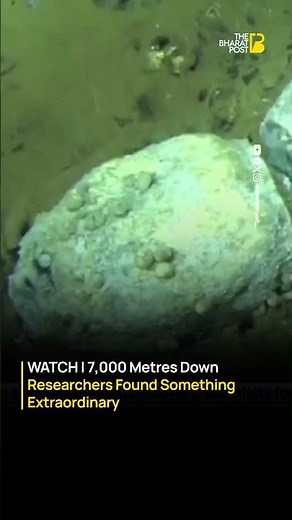 Scientists Discover 5.3 Million-Year-Old Whale Graveyard in Indian Ocean | The Bharat Post