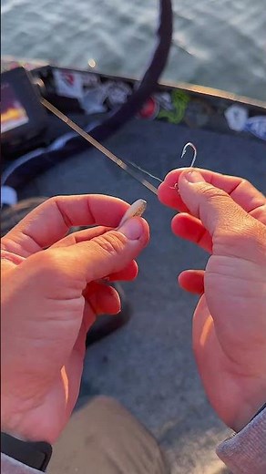 The Bobby Garland Crappie Baits Swimming Minnow