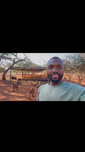 24K views · 631 reactions | Let’s Help You Make That Goat Farming Dream A Reality!!! #farminginafrica #semanhyiafarms #livestock #webinar #nigeriantiktok #startingafarm #ghanatiktok #livestockfarming #farmingbusiness | Farming In Africa | Facebook