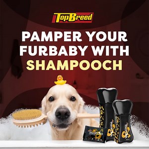 281 reactions · 16 shares | All breeds deserve to be pampered with a good bath time!  Treat your furbaby to a refreshing bath today with ShamPooch. Made with organic keratin that softens and smoothens any breed’s coat. ‍了  Get ShamPooch today at a store near you: tinyurl.com/TopBreed-StoreLocator  Join our Community Group: https://tinyurl.com/TopBreedPawPals #AllBreedTopBreed | TopBreed | Facebook