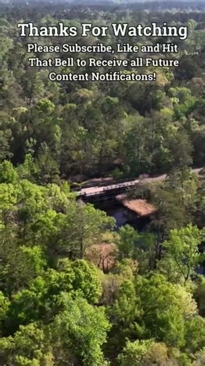 Tammany Trace over Cain Bayou #mavic3 #biketrail #hikingtrails #louisiana #bayou #shorts