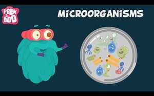 Microorganisms ｜ The Dr. Binocs Show ｜ Educational Videos For Kids