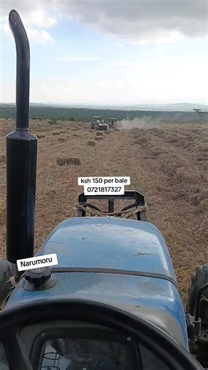hay in bulk,order via 0721817327.#tractorsoftiktok #tractor #kiambutiktokers #kirinyagatiktoker🇰🇪 #farming