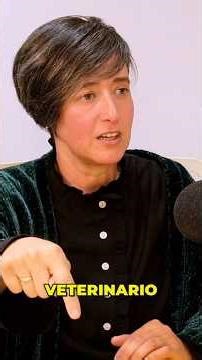 El detalle que decide un RAID: tu equipo de asistencia 🐎