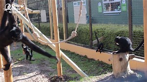 5K views · 38 reactions | Over the weekend, we opened the spider...