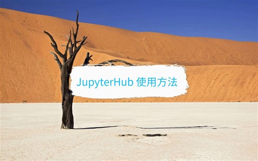 JupyterHub 使用方法