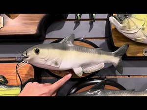 My cool catfish singing fish collection