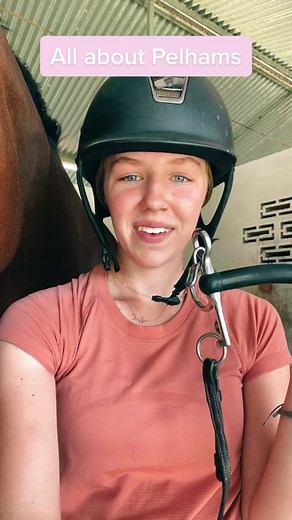 Understanding Pelham Bits: Function and Benefits