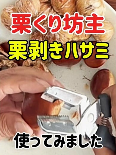 🧑‍🍳栗くり坊主 栗剥きハサミ使ってみました#くりくり坊主#栗#栗皮むき#栗むき器#栗の皮むき #栗むきバサミ