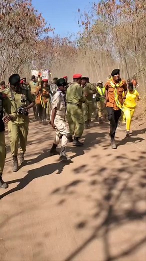 Military Group Walking in Wilderness Environment