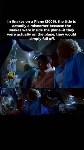 Snake on a Plane