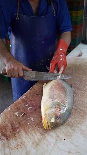 Fish Cutting and Cleaning – Ultimate Tutorial