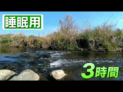 【睡眠用】川のせせらぎでぐっすり眠れる｜自然音・リラックス（3時間）（River Sounds for Sleep）