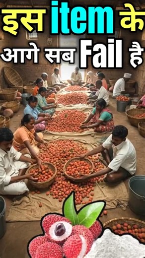 litchi export business I Litchi Export From India | rajeevsaini #shorts #ytshorts