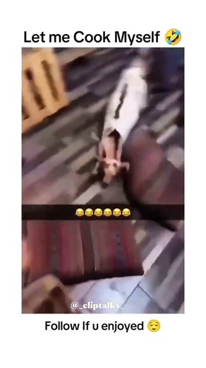 This hilarious video shows a small, spotted goat trying to interact with a burning fireplace