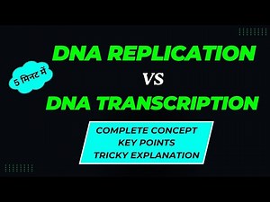 DNA Replication vs Transcription | Important Differences in 5 Minutes | Molecular Biology