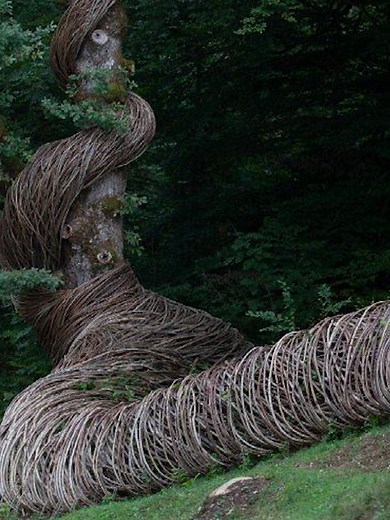Exploring Sustainable Art with Will Beckers