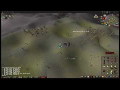 killing vet'ion bots solo