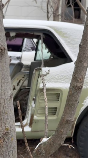 Found some wild Mustang remnants on an abandoned farm… #abandoned #ford #mustang #ponycar #musclecar #forgotten #forgottenplaces #abandonedcars #farmfresh | Adventures Made From Scratch