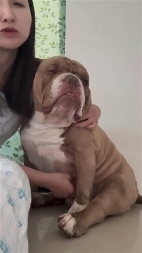 Love day dogmom #dog #dogmom