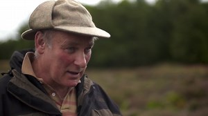 Calls to review grouse shooting as season begins