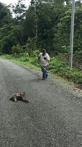 344K views · 5.3K reactions | Sloth rescue! | Reader's Digest | Facebook