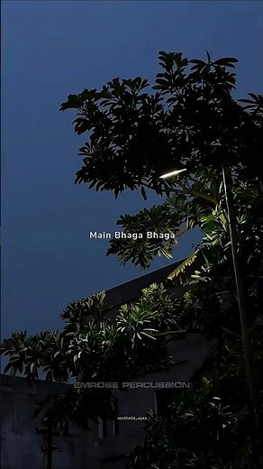 Main Bhaga Bhaga - Safar (Emrose Flip) Bayaan #shorts