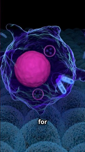 What Are Macrophages? #science