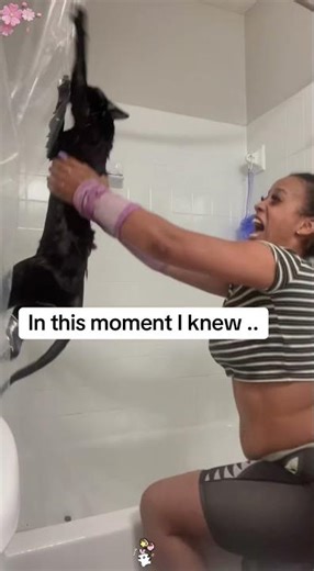 Cat Bath Fails Hilarious Moments!#fyp #laugh #cats #funnycat #viral