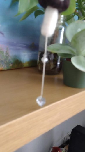 foxglovesandfairys on TikTok