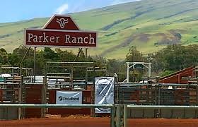 Electricity ‘Microgrid’ Focus of New Parker Ranch Subsidiary | Big Island Now